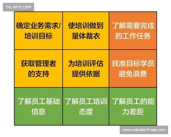 独家解析排球锦标赛最新进展 赛前分析与各队备战情况深入剖析 独家解析排球锦标赛最新进展 赛前分析与各队备战情况深入剖析