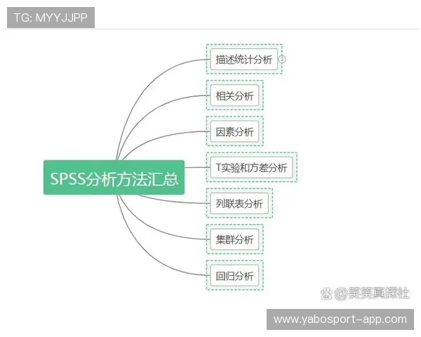 777体育全面解析与最新赛事资讯深度攻略全指南