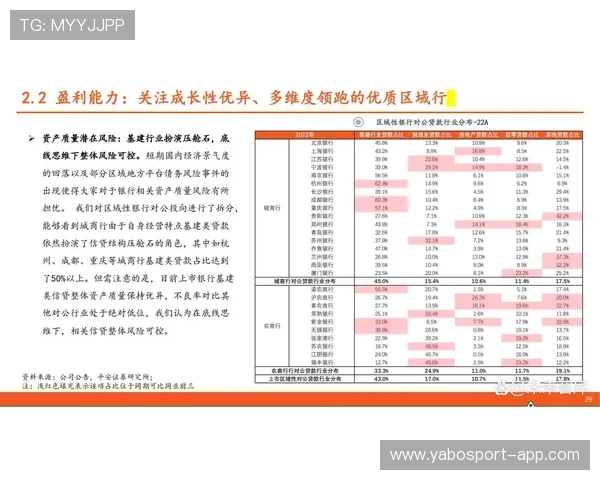 全新视角解析体育博彩网站技巧与赢利策略详解