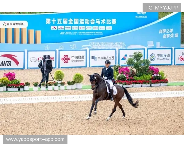 十体育全景解读：聚焦国内外赛事热点与运动员精彩瞬间